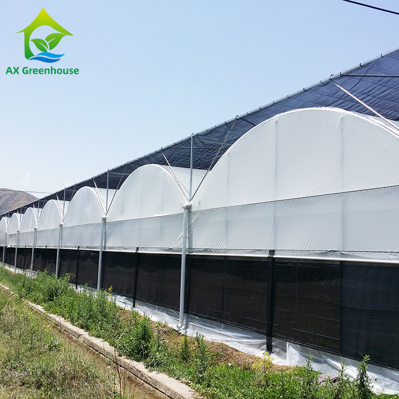 Stable Structure Easily Assembled Agricultural Single Span Fully Automated Blackout Mushroom Growing Greenhouse