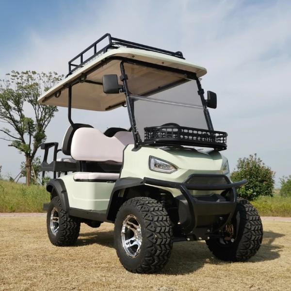 Basic 4 Seat EV Golf Cart 4KW AC Motor Acid Battery Electric Golf Buggy China