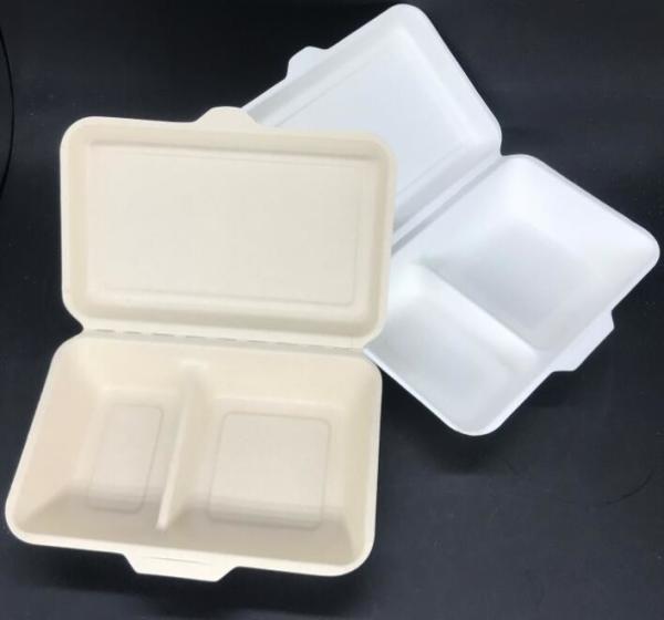 Eco Biodegradable 1000ml 2 Compartment Lunch Box Surgance Pulp Tableware Food