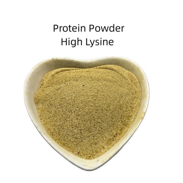 Probiotics Bacterial Poultry Protein Animal Feed Additives Add Flavor And
