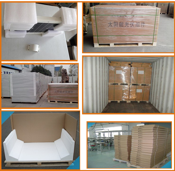 5W Solar Panel for PV System