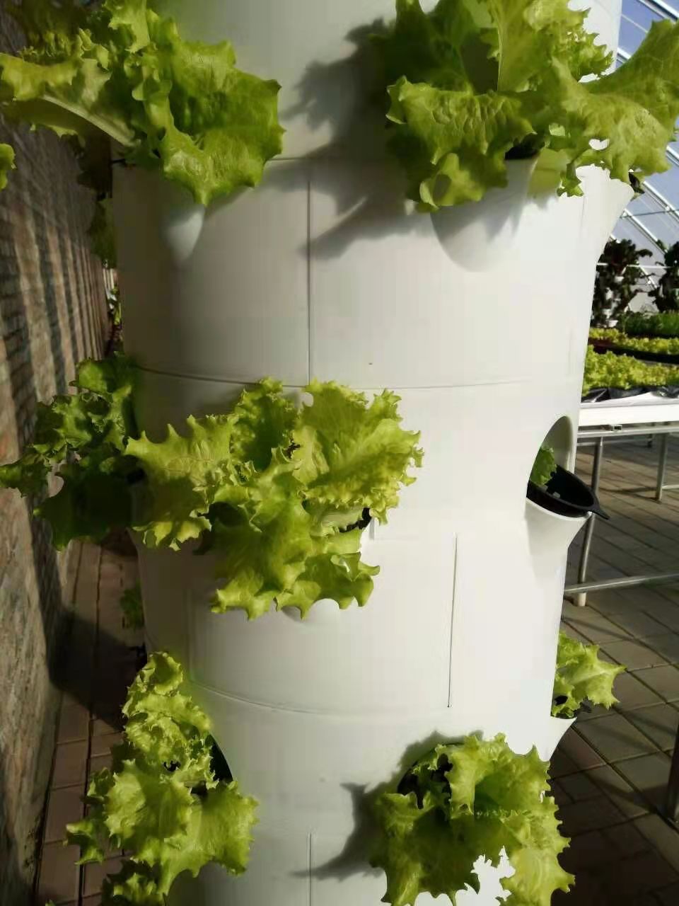 Vertical Hydroponic Aeroponic Growtower Sustainable Hydroponic System