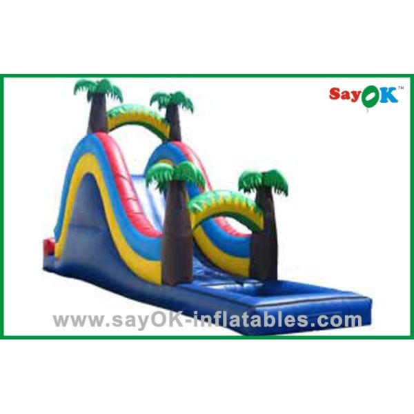 Wet Dry Inflatable Slide Backyard Huge Inflatable Slide Commercial Inflatable