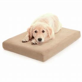  Suede Water Resistant Shredded Memory Foam Dog Bed Manufactures