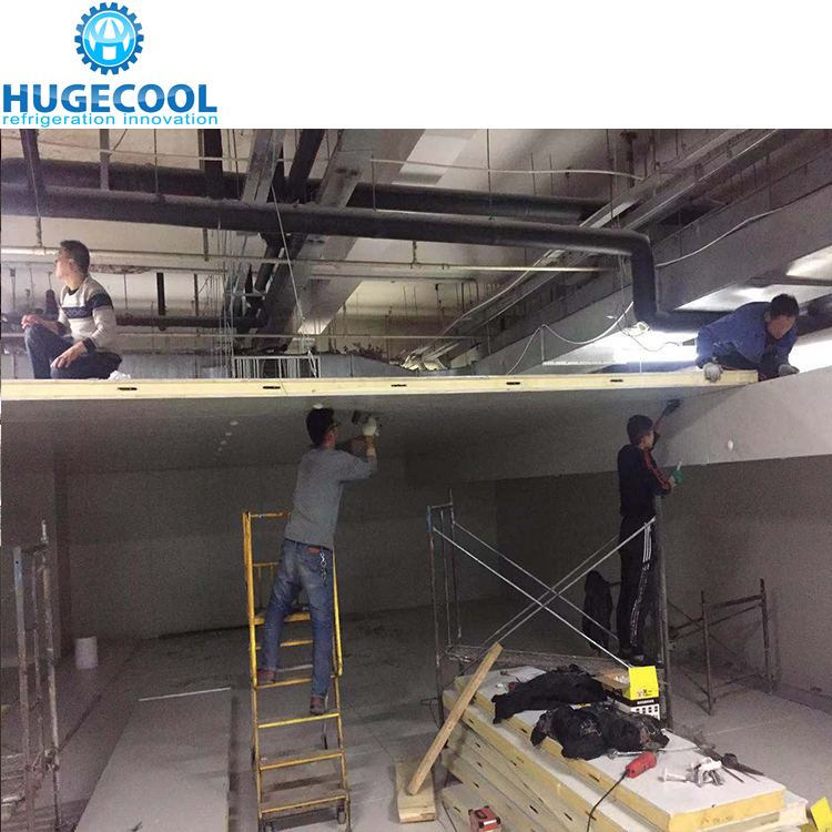 Modular Cold Storage Room For Fish