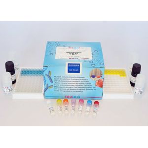  Colorimetric Doxycycline ELISA Test Kit Quantitative Analysis High Recovery Manufactures
