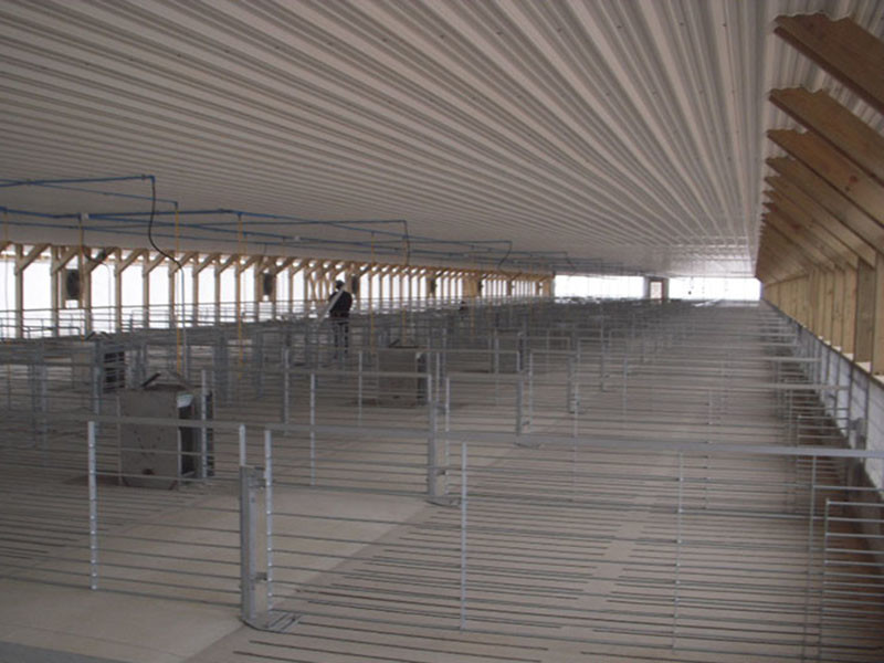 Galvanized Pig Farm Equipment Pig Farrowing Pen Gray Color Alkali Resistance