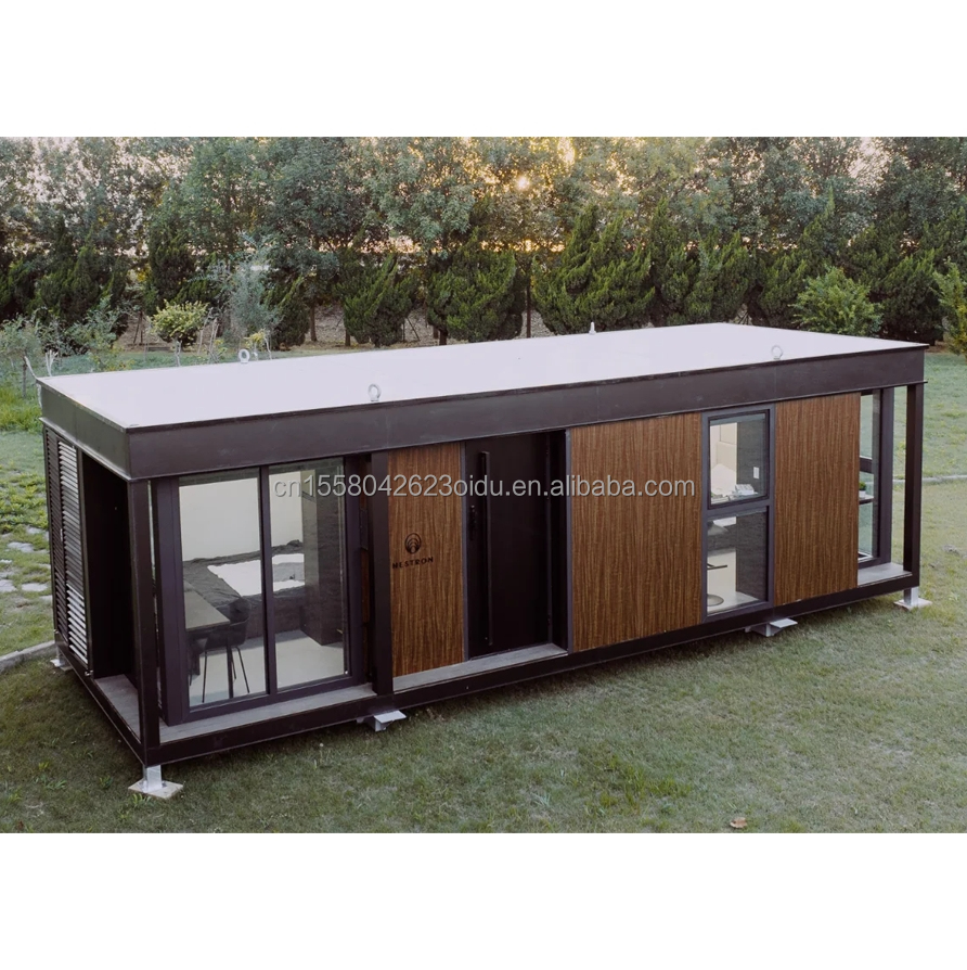 Customized Color Wooden Homes for Family Made of Steel Sandwich Panel and Galvanized Steel Square Tubes