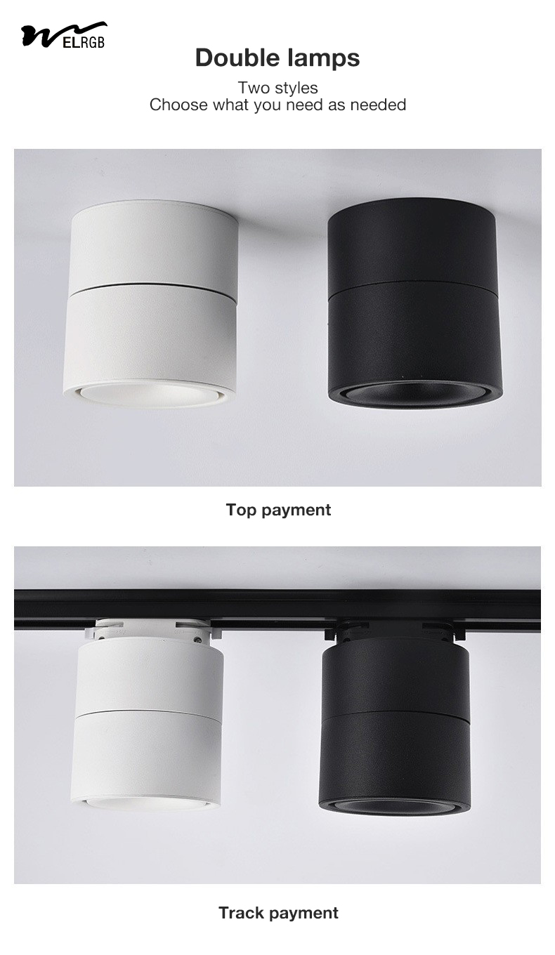 Remote Control Switch Mode LED Cylindrical COB Open-Mounted Downlights for Smart Home