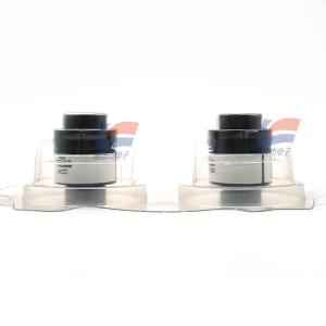 China SGX-VOX Oxygen Gas Sensor 5s Response For Medical Instruments Breath Machine on sale China SGX-VOX Oxygen Gas Sensor 5s Response For Medical Instruments Breath Machine on sale