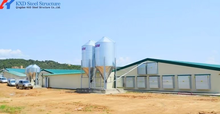 Farming Animal Husbandry Greenhouse Chicken Greenhouse Poultry Breeding Greenhouse For Chicken