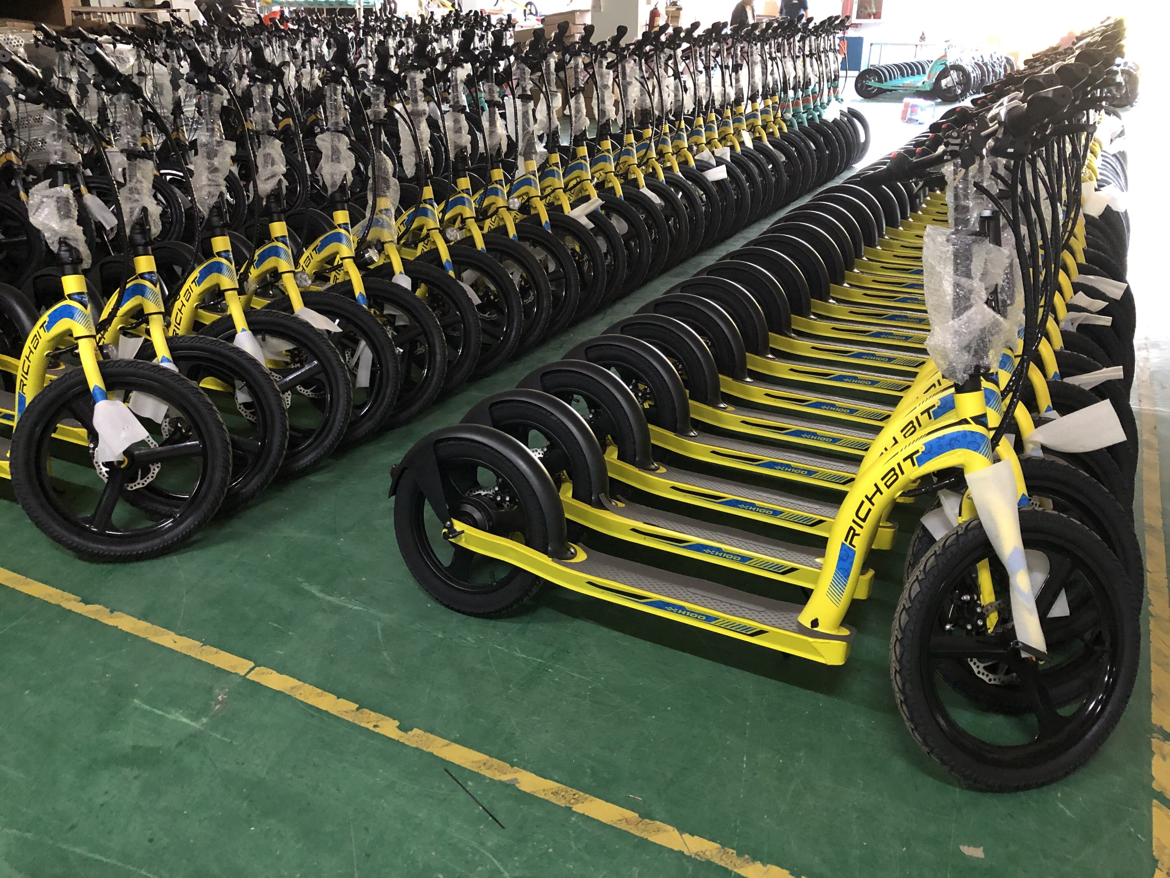 Front 20inch Rear 16inch Adults Electric Scooter 250w 36v Lithitum Battery