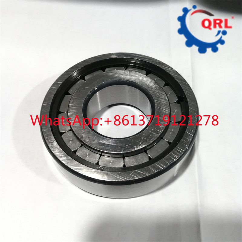 OEM Cylindrical Roller Bearing SC060702 C VE C3 28x60x18MM