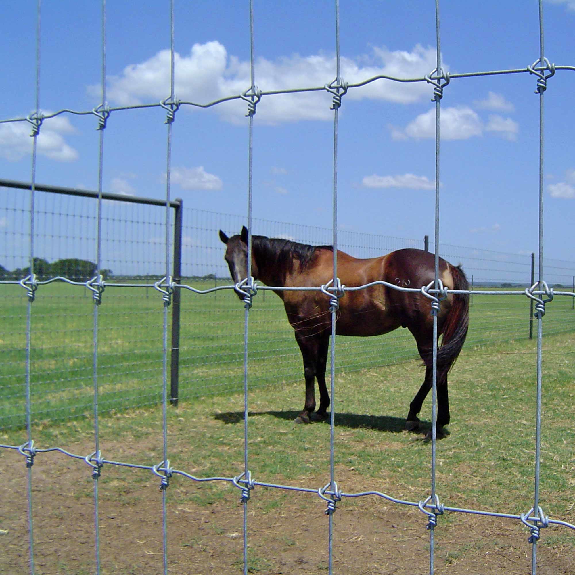 High Tensile Fixed Knot Fence Grassland Deer Farm Hot Dipped Galvanized