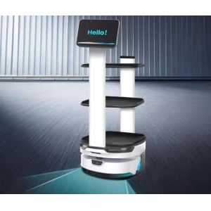 Intelligent Autonomous Mobile Robot With Detection Range 0.2M-10M
