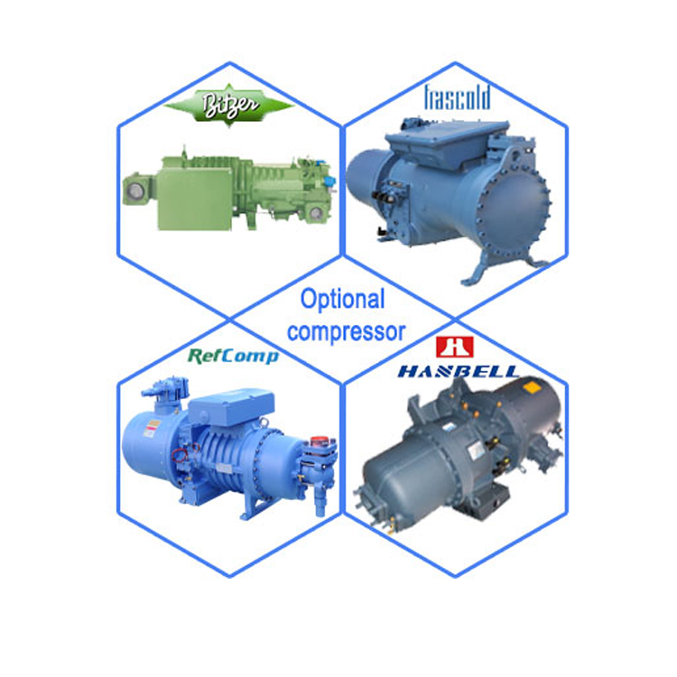 Mini Ice Plant 1 Ton Compact Ice Block Machine with Schneider Electric Components