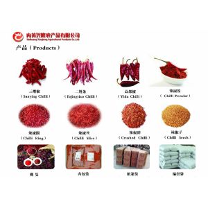 HALAL Whole Red Bullet Chilli Round 12% Moisture Anhydrous HACCP