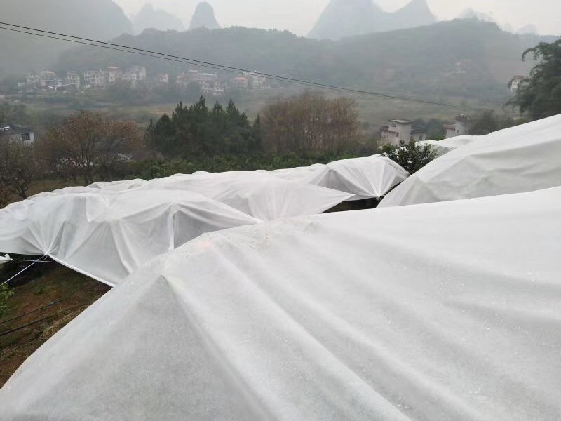Winter Protection Cloth Polypropylene Non Woven Fabric Cold Proof Breathable