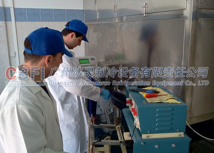 1000kg Air Cooled Ice Cube Machine With Germany / R507 Refrigerant