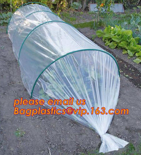 Multi-Span Plastic Film Cover Natural Ventilation Vegetable Greenhouse,Greenhouse Kits Plastic Greenhouse 200 micron gre