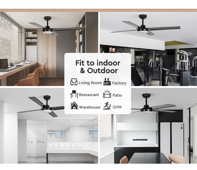 ceiling fan