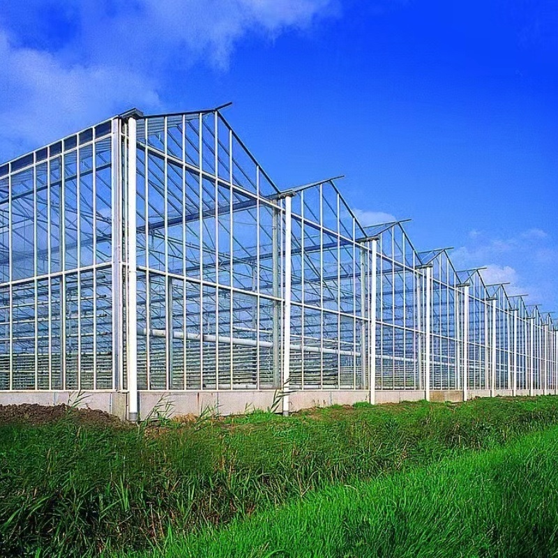 Glass Greenhouse with Hydroponics Growing System