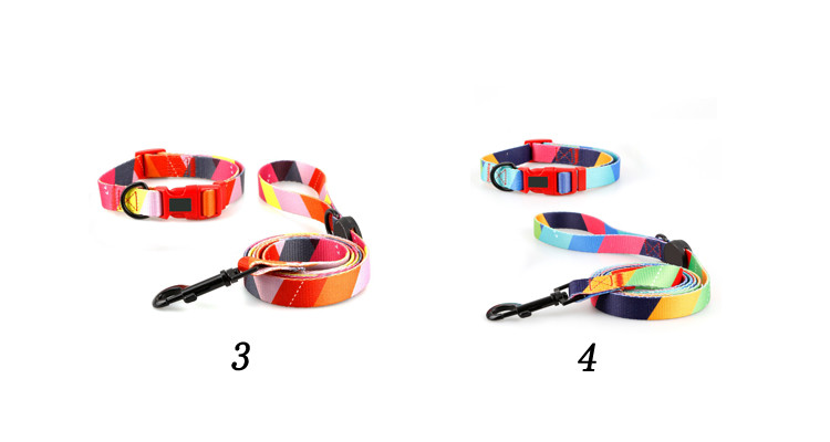Nylon Rope Pet Collars Leashes Personalized Skin Friendly Metal Clasp Dog Collar S M L