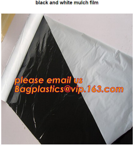 Multi-Span Plastic Film Cover Natural Ventilation Vegetable Greenhouse,Greenhouse Kits Plastic Greenhouse 200 micron gre