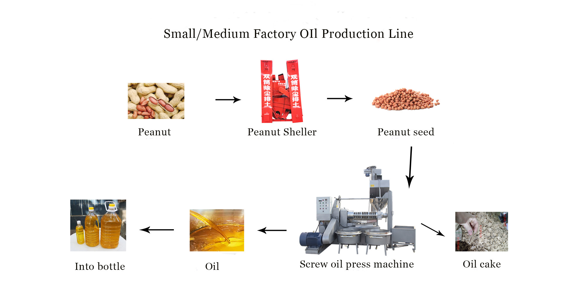 Screw Cold Press Peanut Oil Line Peanut Oil Processing Machine Oil Press Machine