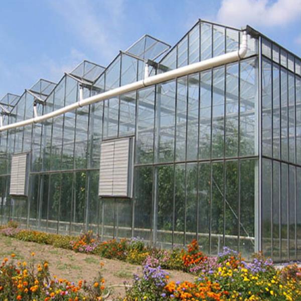 Outdoor Backyard Greenhouse Large Prefabricated Greenhouse Structures Customized