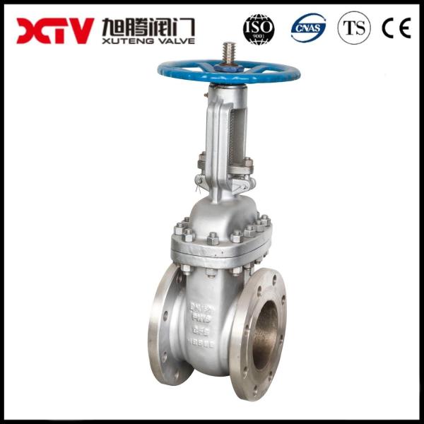ANSI Flanged Class 150 Stainless Steel Body Gate Valve Affordable Full Payment