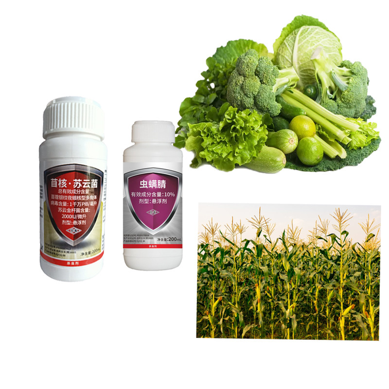 AcNPV Bt Chlorfenapyr SC Fruit Tree Pesticides Cabbage Root Maggot Insecticide