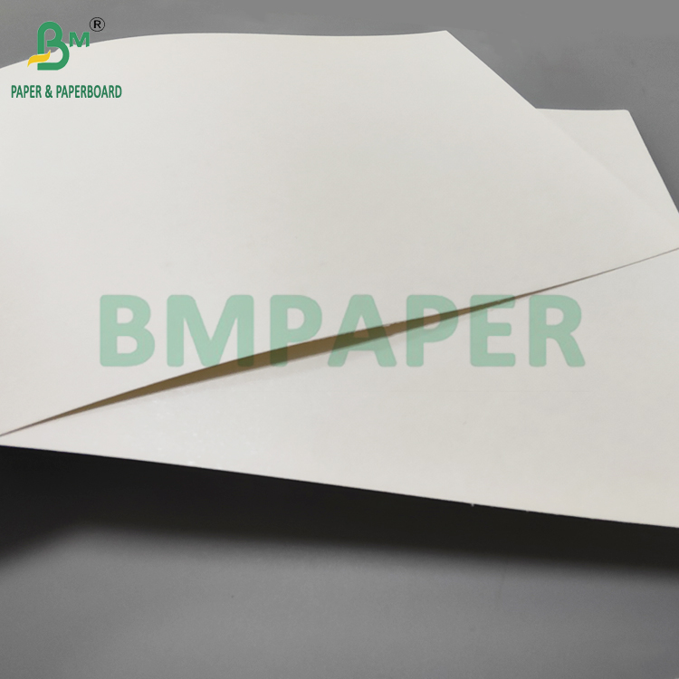190gsm + 15gPE P1S Cup Paper Gloss For Coffee Shop Waterproof 720mm 880mm