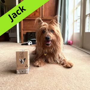 Jack