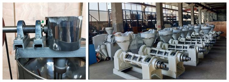 Sesame Nut Grains Electric Oil Press Machine ZX125 210-300kg/h High Oil Output Rate