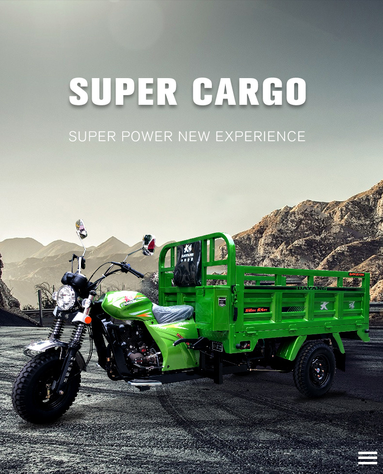 175cc Engine 800 W power DAYANG Heavy-duty Three Wheels Motorcycles for Global Market