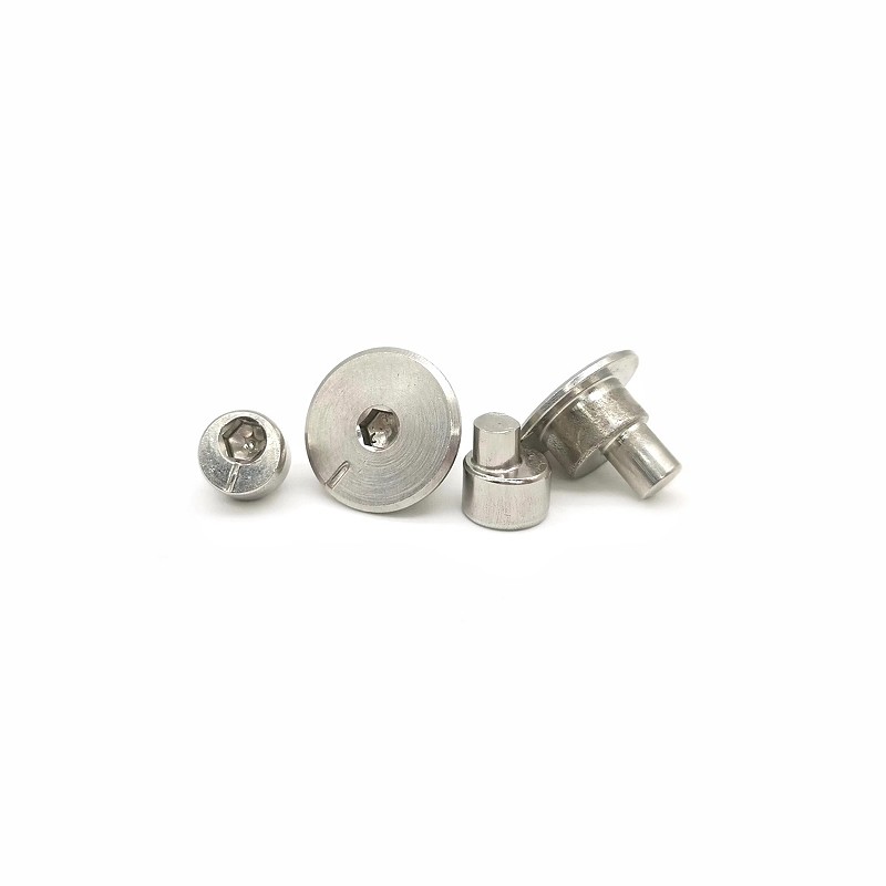 Non Standard Custom Step Rivet Anti Theft Screw Eccentric Nail
