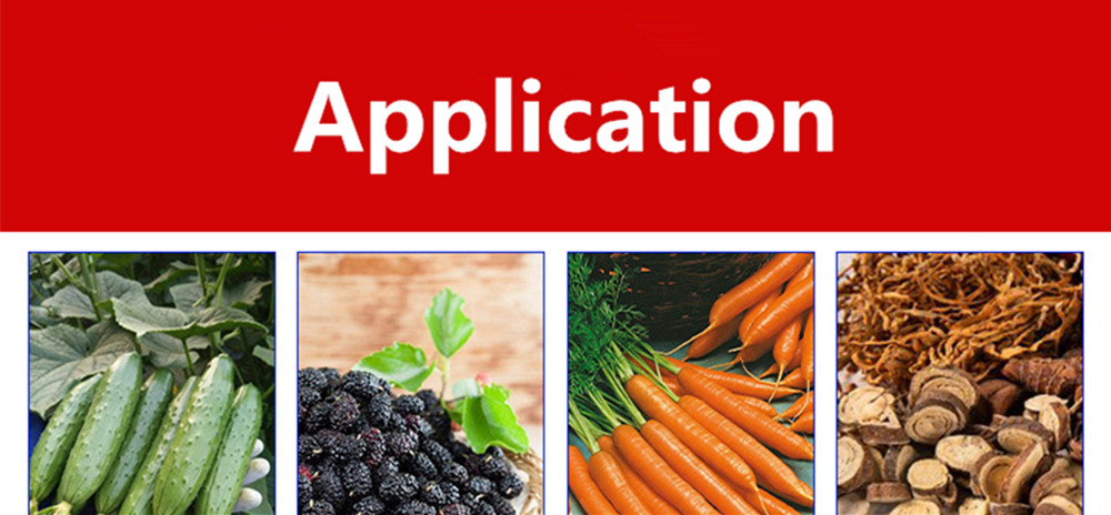 Fruit and Vegetable Meat Processing Equipment Hydraulic Cold-Press Juicer for Commercial