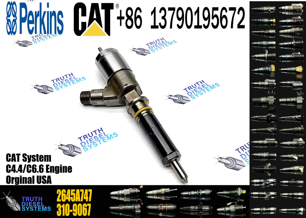 Engine Fuel Injector 2645A747 10R-7671 10R-7672 2645A718 10R-7673 10R-7676 2645A734 10R-7674 10R-7668