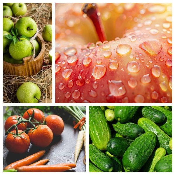 Fully Automatic Combined Fruit Processing and Washing Machine with Customized Options
