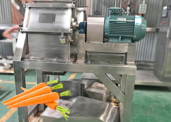 Carrot Beverage Production Line Professional Customized Multifunctional