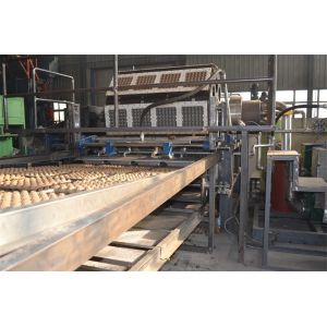 OEM Paper Pulp Egg Carton Making Machine , Egg Crate Making Machine