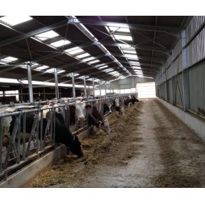 China Quick Build Prefab Aircraft Hangars , Sandwich Panel Proof Cow Steel Farm Buildings on sale