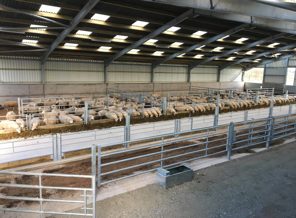 Q235/Q345 Horse Barn Style Metal Buildings Prefab Metal Horse Barn OEM ODM
