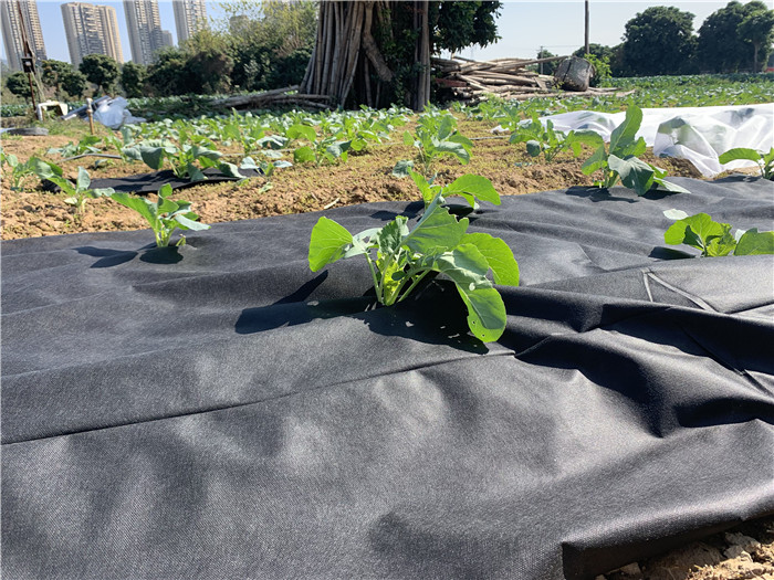 weed killer fabric mat, agricultural anti weed mat, dust control weed mat, dust cover matt, agricultural black white gre