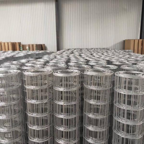 Widely Used Superior Quality best selling ISO certification hot dipped