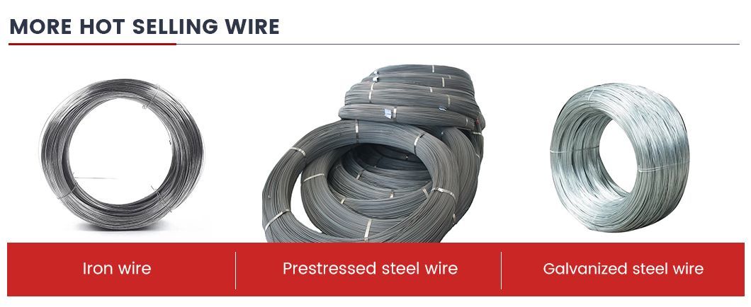 201 202 303 304 310 316 Stainless Steel Spring Wire 55crsia 60si2mna 65mn Alloy Spring Steel Wire Rod Factory