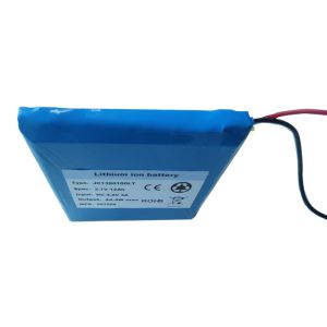 SGS 132g Lithium Polymer Low Temperature Rechargeable Battery
