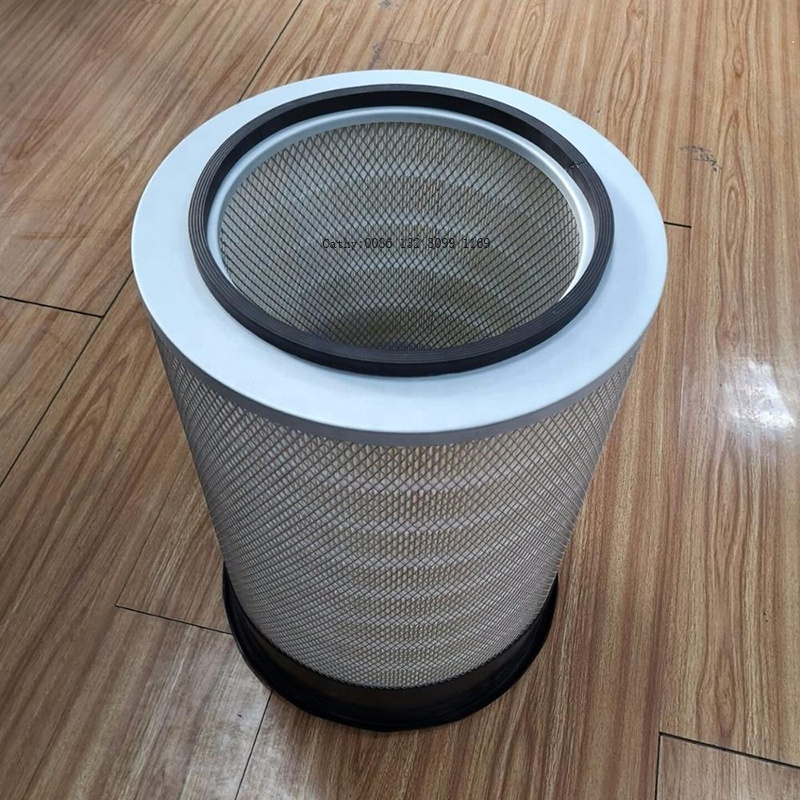 Filters air 220055064 P153551 engine air filter element