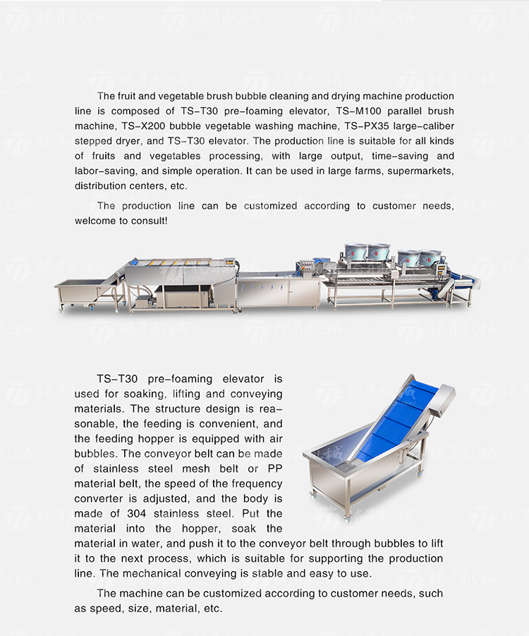 Fruit And Vegetable Wool Roller Bubble Cleaning Machine 1500KG/H